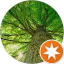 イチロー profile picture